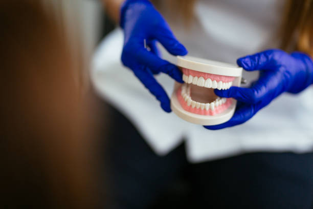 Best Traditional Braces  in Olympia, SC